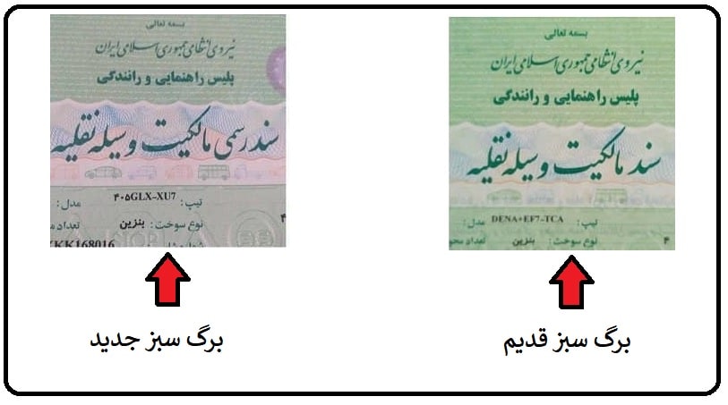 برگ سبز جدید